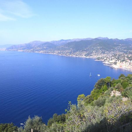 Portofino Mountain Unique Love Nest San Rocco  Exterior photo
