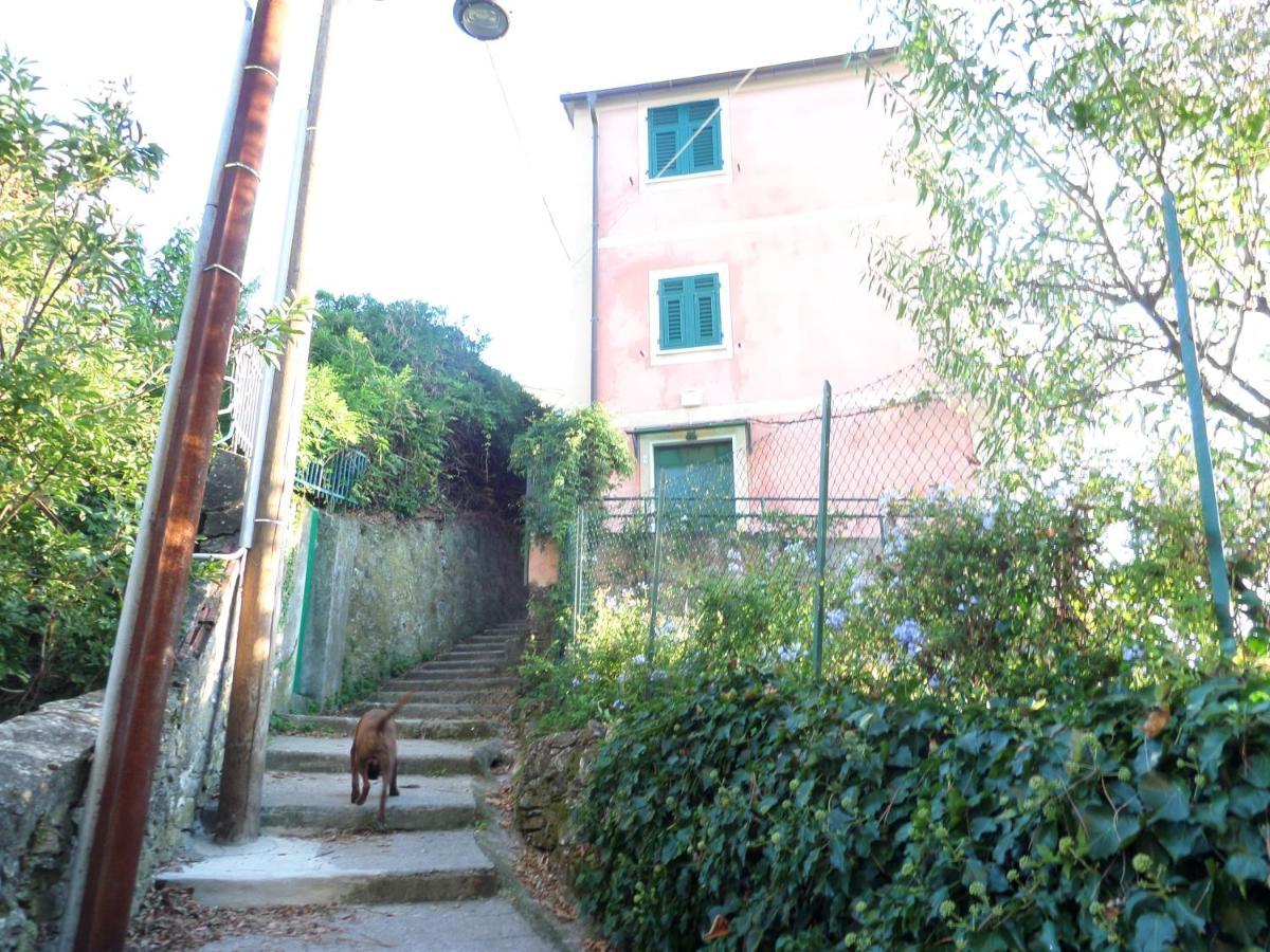 Portofino Mountain Unique Love Nest San Rocco  Exterior photo